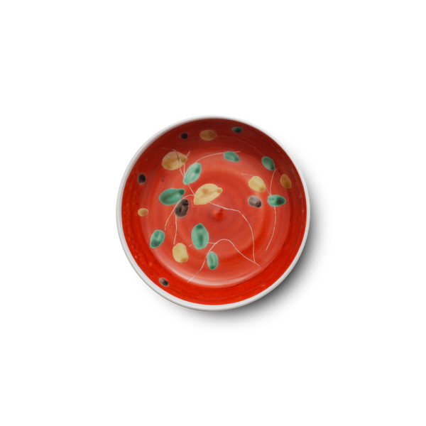 4代須田菁華  赤絵木葉文皿