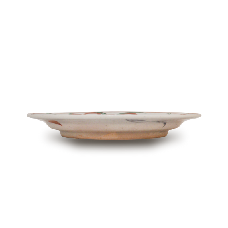 須田菁華 色絵染付魚文皿