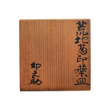 河合卯之助 荒地菊印葉皿 6客揃 共箱