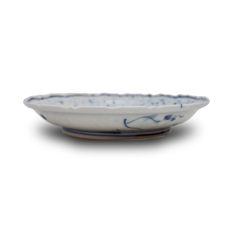 須田菁華 染付吹墨魚文皿